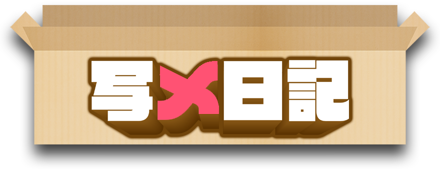写メ日記